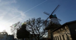 Süderbrarup und andere Ausflugsziele nahe Kappeln Windmühle in Kappeln