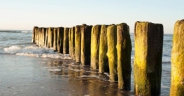 Meer bei Boltenhagen