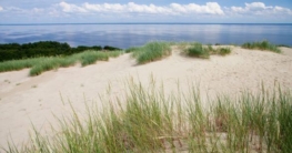 Ostseebad Boltenhagen: Ihr perfekter Urlaub zwischen Sandstränden und Kultur Strand in Boltenhagen