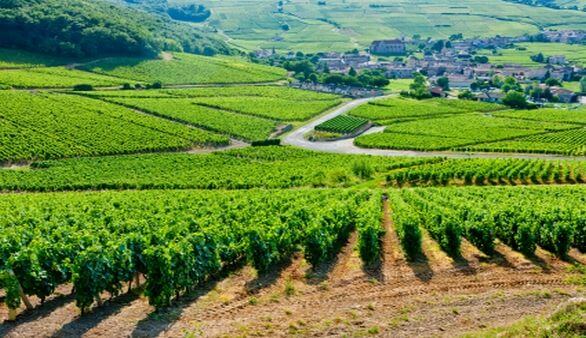 Landschaft im Burgund Landschaft im Burgund