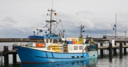 Die Hafenstadt Sassnitz