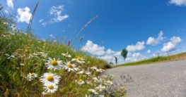 Das Wetter auf Fehmarn