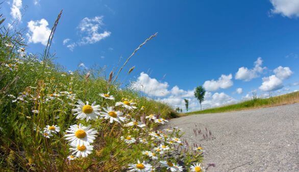 Das Wetter auf Fehmarn