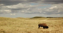 Unterwegs nach und in Kanada Landschaft in Kanada