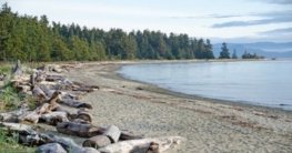 Die besten Abenteuertouren in Kanada Vancouver Island