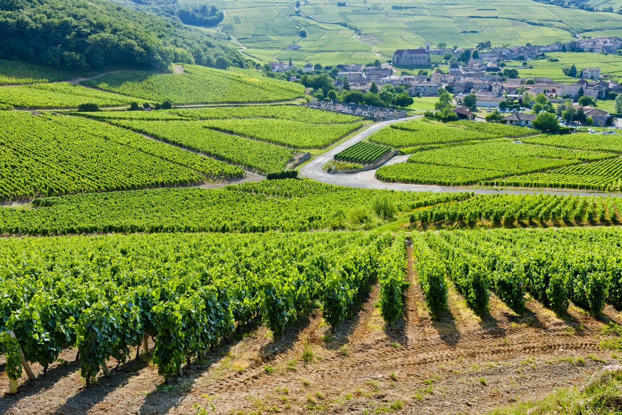 Burgund