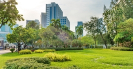 Lumphini Park