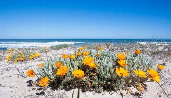 Namaqualand Namaqualand