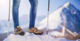 Nordic Cruising Nordic Cruising