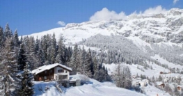 Skiurlaub in Laax Laax