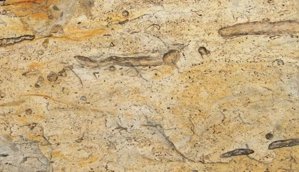 Geschichte Spitzbergens