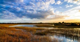 Naturwunder Florida Everglades