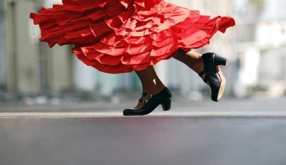 Flamenco ©iStockphoto/Rami Katzav
