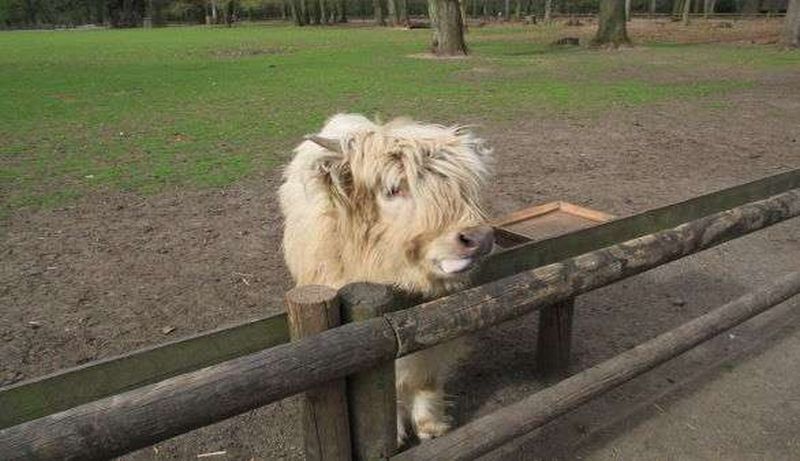 Lindenthaler Tierpark 