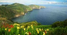 Grupo Ocidental Grupo Ocidental