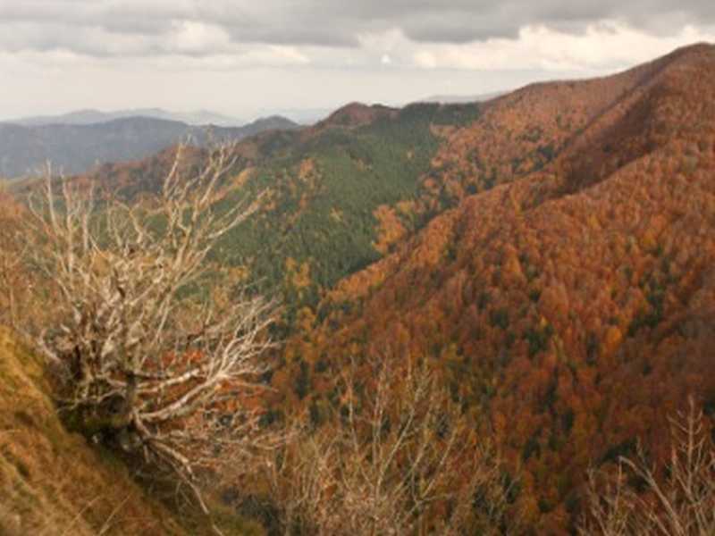 Casentino-Tal