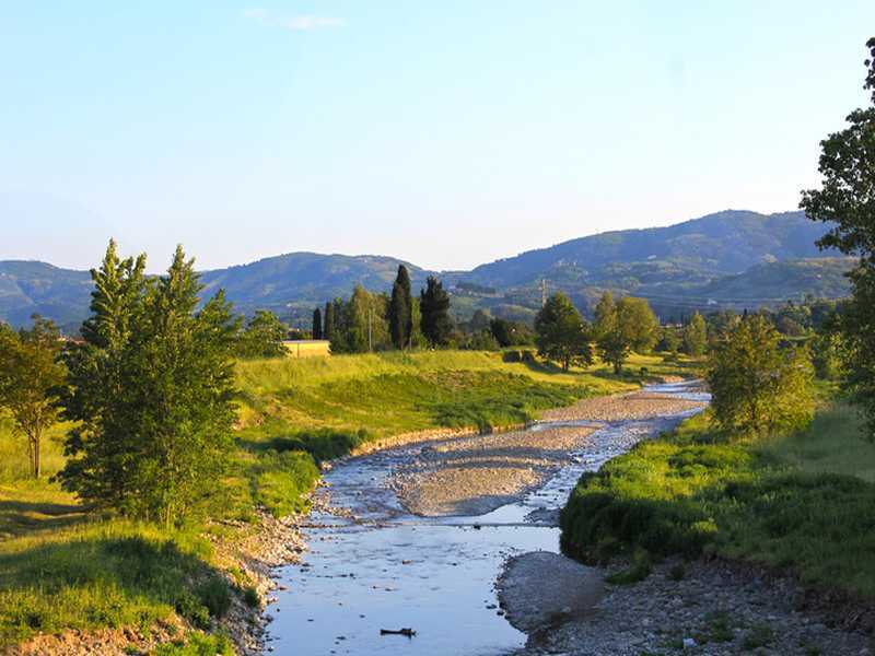 Prato