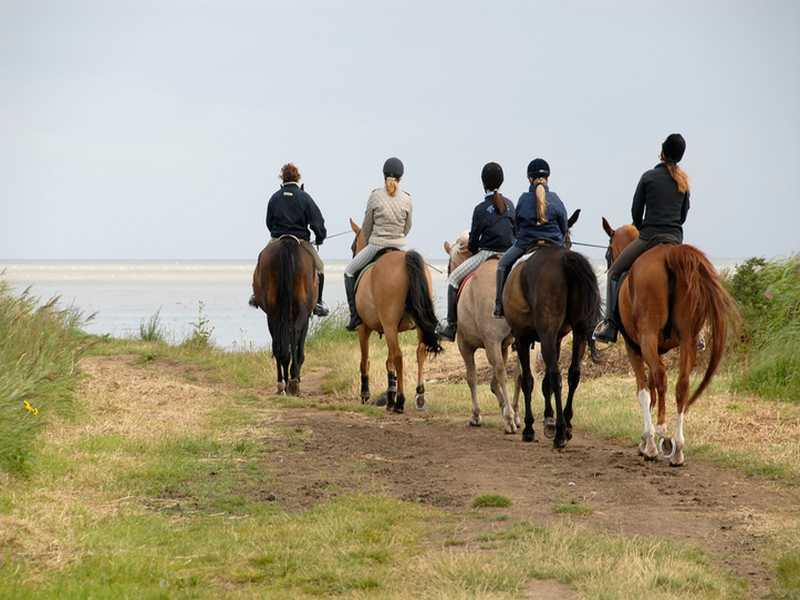 Reiten in der Toskana