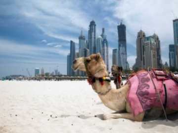 Scheich dubai kennenlernen