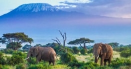 Das Klima in Kenia, Beste Reisezeit Kenia