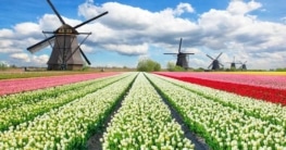 Klima Niederlande, Beste Reisezeit Niederlande