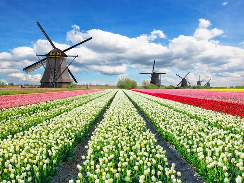 Niederlande
