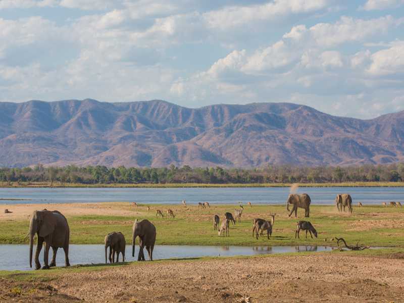 Sambia