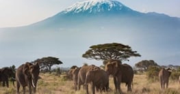 Klima Tansania, Beste Reisezeit Tansania