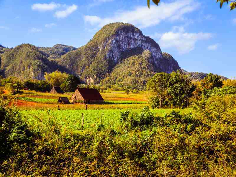 Viñales 