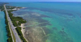 Florida Keys