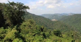 Wildschutzgebiet Khao Soi Dao