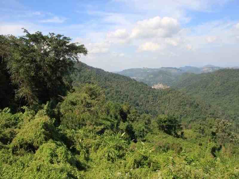 Wildschutzgebiet Khao Soi Dao