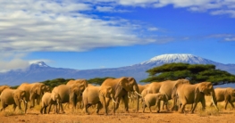 Klima in Tansania - Beste Reisezeit für Tansania Tansania