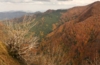 Casentino-Tal