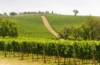 Maremma