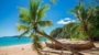 Guadeloupe