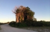 Nauru