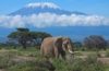 Kenia