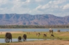 Sambia