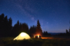 Nacht im Wald